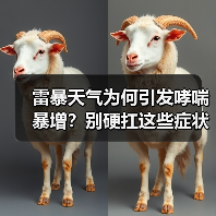 雷暴天气为何引发哮喘暴增？别硬扛这些症状！（图3）