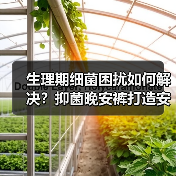 生理期细菌困扰如何解决？抑菌晚安裤打造安心舒睡一整晚（图2）