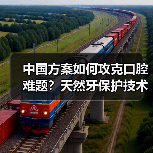 中国方案如何攻克口腔难题?天然牙保护技术破解8020挑战(图2) 中国方案如何攻克口腔难题?天然牙保护技术破解8020挑战(图2)