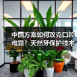 中国方案如何攻克口腔难题?天然牙保护技术破解8020挑战(图4) 中国方案如何攻克口腔难题?天然牙保护技术破解8020挑战(图4)