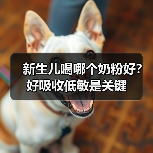 新生儿喝哪个奶粉好？好吸收低敏是关键（图4）