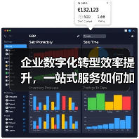 企业数字化转型效率提升,一站式服务如何加速落地?(图4) 企业数字化转型效率提升,一站式服务如何加速落地?(图4)
