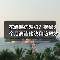 花洒越洗越脏？揭秘3个月清洁秘诀和防霉妙招（图4）