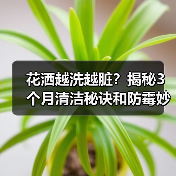 花洒越洗越脏？揭秘3个月清洁秘诀和防霉妙招（图3）