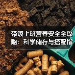 带饭上班营养安全全攻略：科学储存与搭配指南
