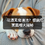 花洒无需清洁?细菌危害真相大揭秘(图2) 花洒无需清洁?细菌危害真相大揭秘(图2)