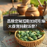 品牌定制短剧如何引爆大促营销新场景?(图1) 品牌定制短剧如何引爆大促营销新场景?(图1)