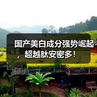 国产美白成分强势崛起,超越肽安密多!(图2) 国产美白成分强势崛起,超越肽安密多!(图2)