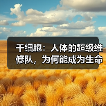 干细胞:人体的超级维修队,为何能成为生命修复的终极答案?(图3) 干细胞:人体的超级维修队,为何能成为生命修复的终极答案?(图3)
