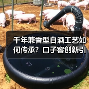 千年兼香型白酒工艺如何传承？口子窖创新引领未来（图4）