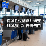 真诚胜过幽默？杨笠《非诚勿扰》真情告白