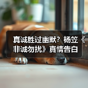 真诚胜过幽默？杨笠《非诚勿扰》真情告白（图4）