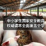 中小学生国家安全教育权威读本全面覆盖全学段（图2）