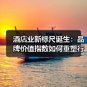酒店业新标尺诞生：品牌价值指数如何重塑行业评价？（图4）