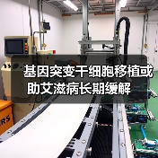 基因突变干细胞移植或助艾滋病长期缓解（图2）