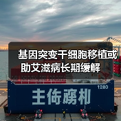 基因突变干细胞移植或助艾滋病长期缓解（图4）