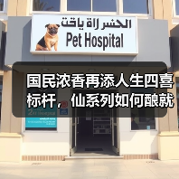 国民浓香再添人生四喜标杆，仙系列如何酿就幸福时刻？