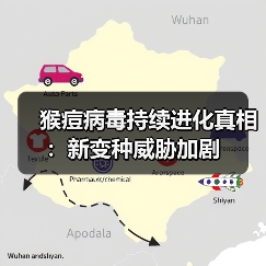 猴痘病毒持续进化真相：新变种威胁加剧（图2）
