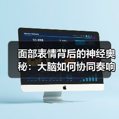 面部表情背后的神经奥秘：大脑如何协同奏响？（图2）
