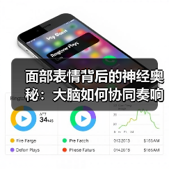 面部表情背后的神经奥秘：大脑如何协同奏响？（图3）