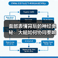 面部表情背后的神经奥秘：大脑如何协同奏响？（图4）