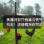 失温并非只有寒冷天气引发！这些情况你可能忽视了（图3）