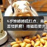 6岁娃胳膊现红点，竟因猫抓病！撸猫后要洗手