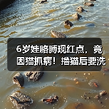 6岁娃胳膊现红点，竟因猫抓病！撸猫后要洗手（图2）