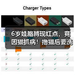 6岁娃胳膊现红点，竟因猫抓病！撸猫后要洗手（图4）