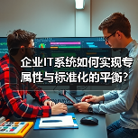 企业IT系统如何实现专属性与标准化的平衡？模块化定制破局之道（图2）