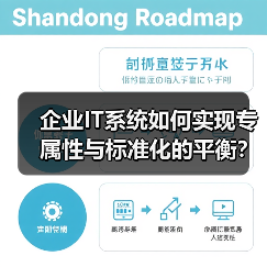 企业IT系统如何实现专属性与标准化的平衡？模块化定制破局之道（图4）