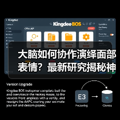 大脑如何协作演绎面部表情？最新研究揭秘神经网络机制（图3）