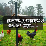 你还在以为只有寒冷才会失温？其实……（图3）