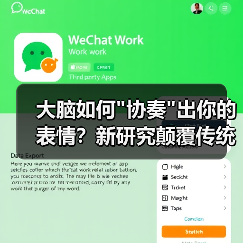 大脑如何 大脑如何