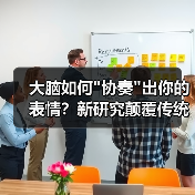 大脑如何 大脑如何