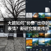 大脑如何 大脑如何