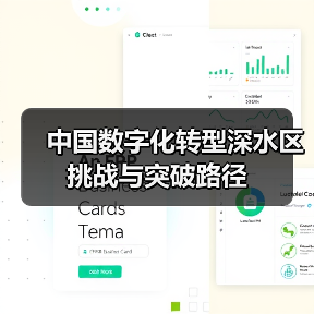 中国数字化转型深水区挑战与突破路径(图2) 中国数字化转型深水区挑战与突破路径(图2)