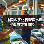 中国数字化转型深水区挑战与突破路径(图3) 中国数字化转型深水区挑战与突破路径(图3)