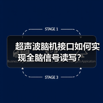 超声波脑机接口如何实现全脑信号读写?(图2) 超声波脑机接口如何实现全脑信号读写?(图2)