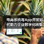 电商系统与App开发如何助力企业数字化转型?(图2) 电商系统与App开发如何助力企业数字化转型?(图2)