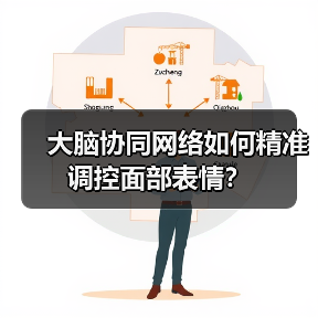 大脑协同网络如何精准调控面部表情?(图2) 大脑协同网络如何精准调控面部表情?(图2)