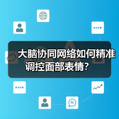 大脑协同网络如何精准调控面部表情?(图4) 大脑协同网络如何精准调控面部表情?(图4)