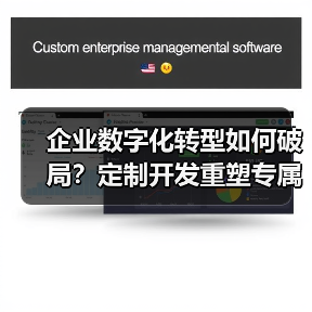 企业数字化转型如何破局？定制开发重塑专属商业生态