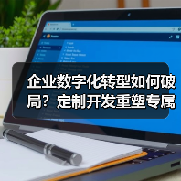企业数字化转型如何破局？定制开发重塑专属商业生态（图2）