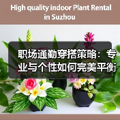 职场通勤穿搭策略:专业与个性如何完美平衡?(图2) 职场通勤穿搭策略:专业与个性如何完美平衡?(图2)