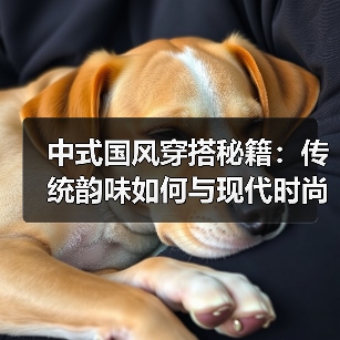 中式国风穿搭秘籍：传统韵味如何与现代时尚完美融合？