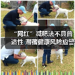 “网红”减肥法不具普适性 潜藏健康风险应警惕 来源:互联网 2025-11-14(图2) “网红”减肥法不具普适性 潜藏健康风险应警惕 来源:互联网 2025-11-14(图2)