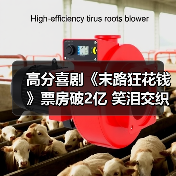 高分喜剧《末路狂花钱》票房破2亿 笑泪交织引爆全国(图2) 高分喜剧《末路狂花钱》票房破2亿 笑泪交织引爆全国(图2)