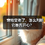 了解猫的品种多样性（探索猫的不同品种及其特点）