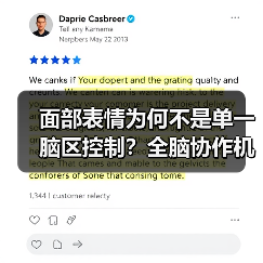 面部表情为何不是单一脑区控制？全脑协作机制揭秘（图3）